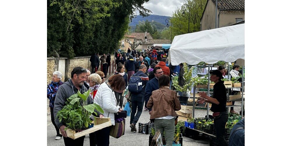fete_plantes_forcalquier.jpg